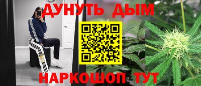 сатива Обнинск
