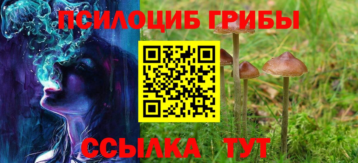 Краснокамск  Галлюциногенные грибы Cubensis  Псилоцибиновые грибы GOLDEN TEACHER  Вход с VPN 